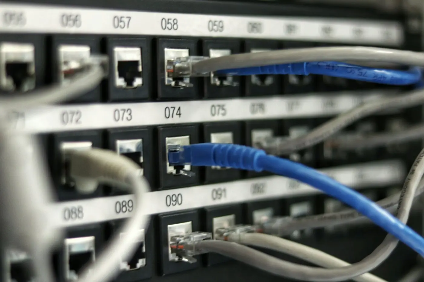 Network patch panel with blue cables